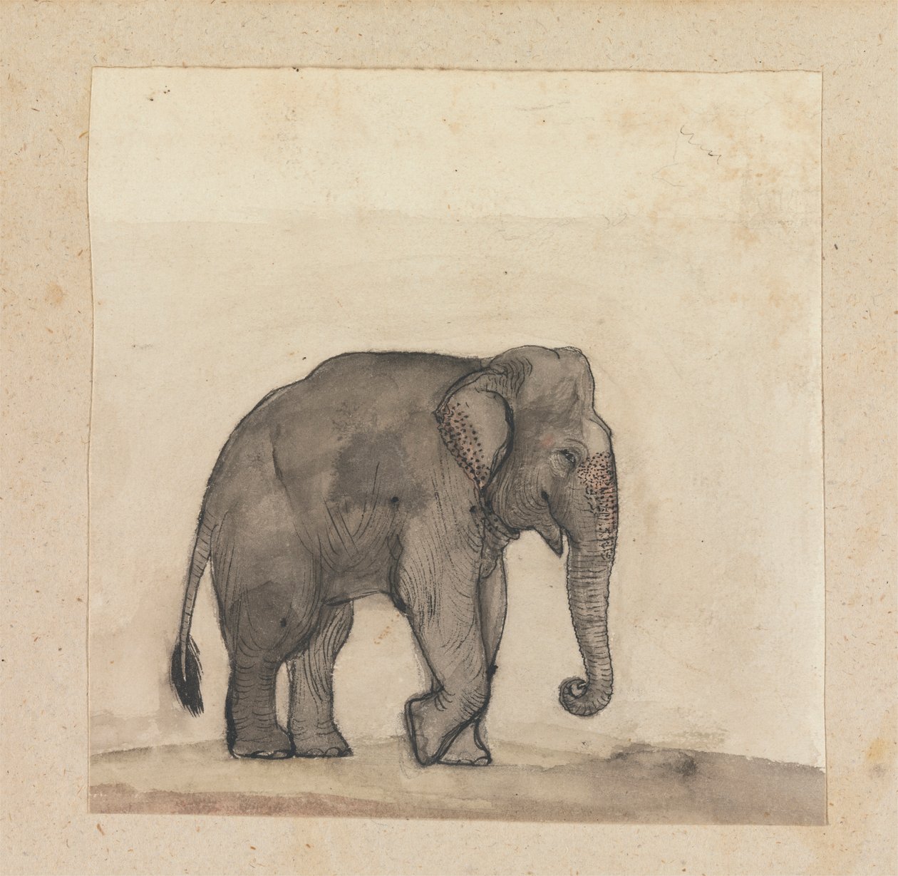 Elefant av Gangaram Chintaman Tambat