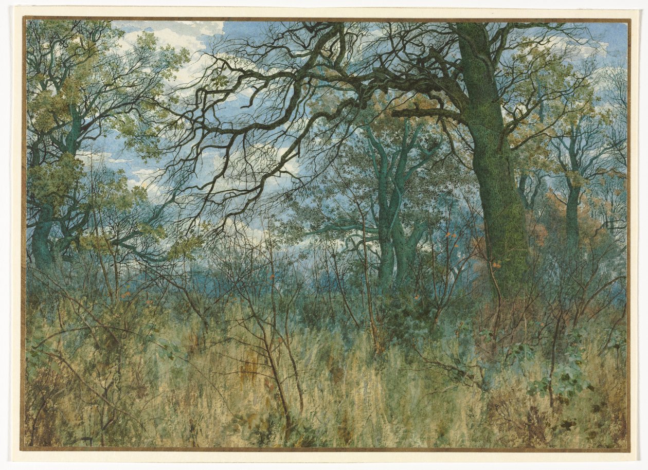 Träd och undervegetation, 1885. av Garden William Fraser