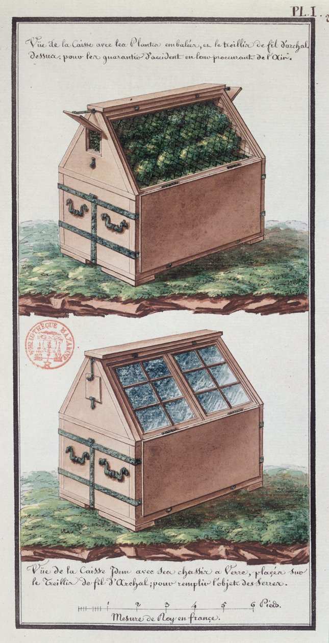 Illustration av en byrå för att transportera växter, från konstnärens anteckningsbok gjord under Jean-Francois Gallup de la Perouses expedition (1741-88) (penna och bläck och wc på papper) av Gaspard Duche de Vancy