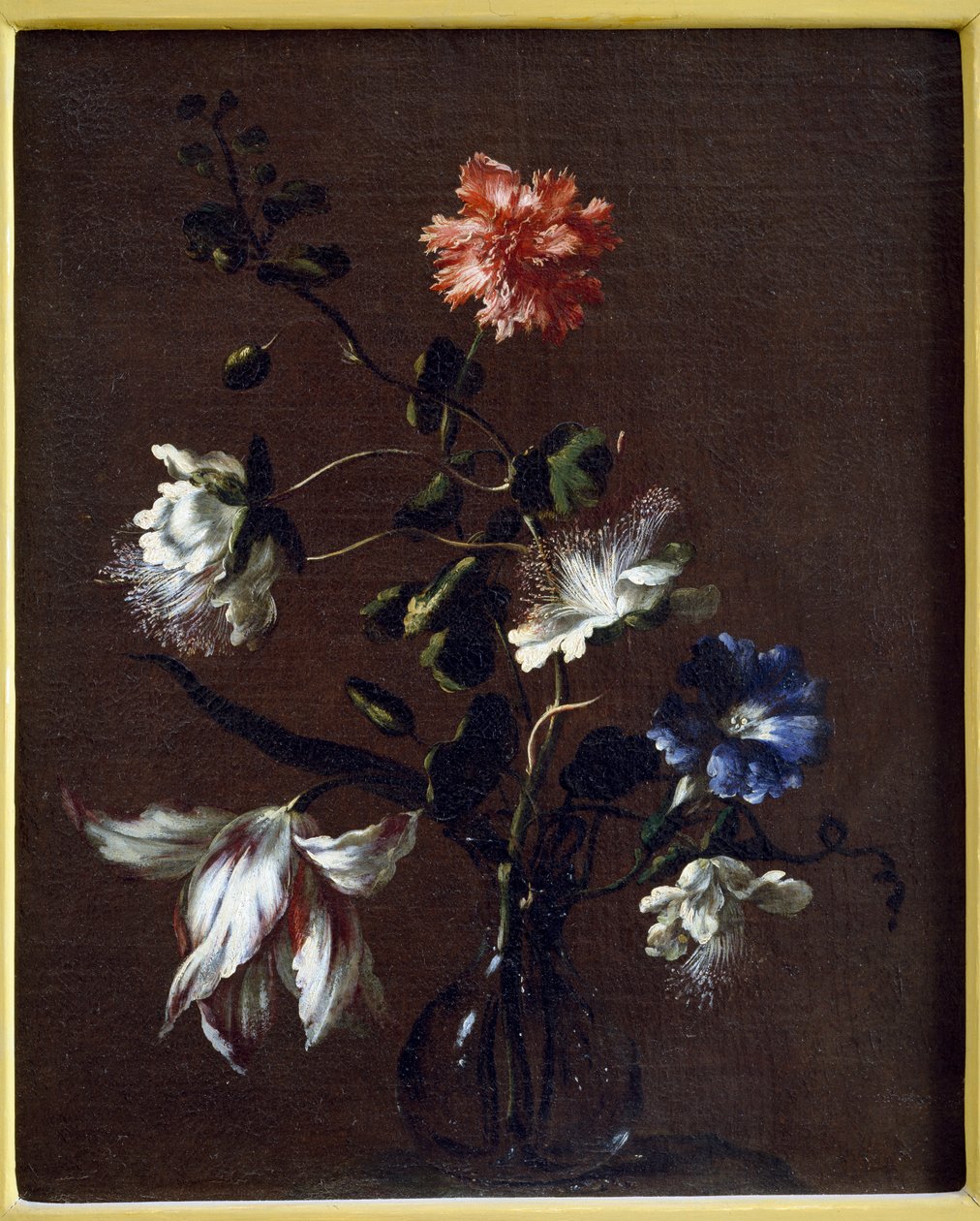 Stilleben av kaprisblommor, nejlikor, bindweed och tulpaner av Gasparo Lopez