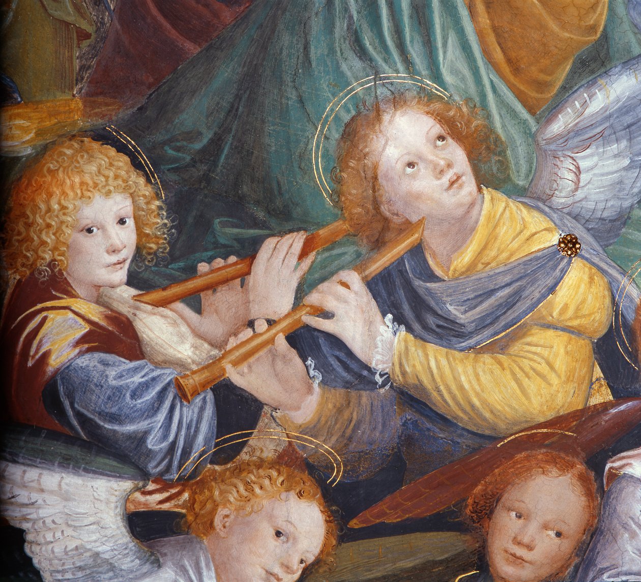 Änglarnas konsert, 1534-36 (detalj) (se 175762) av Gaudenzio Ferrari