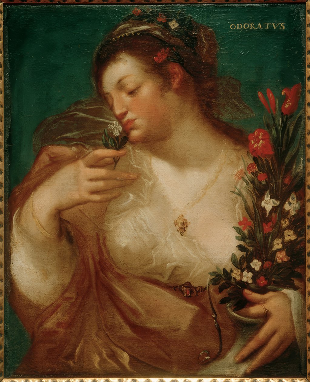 Odoratus av Geldorp Gortzius