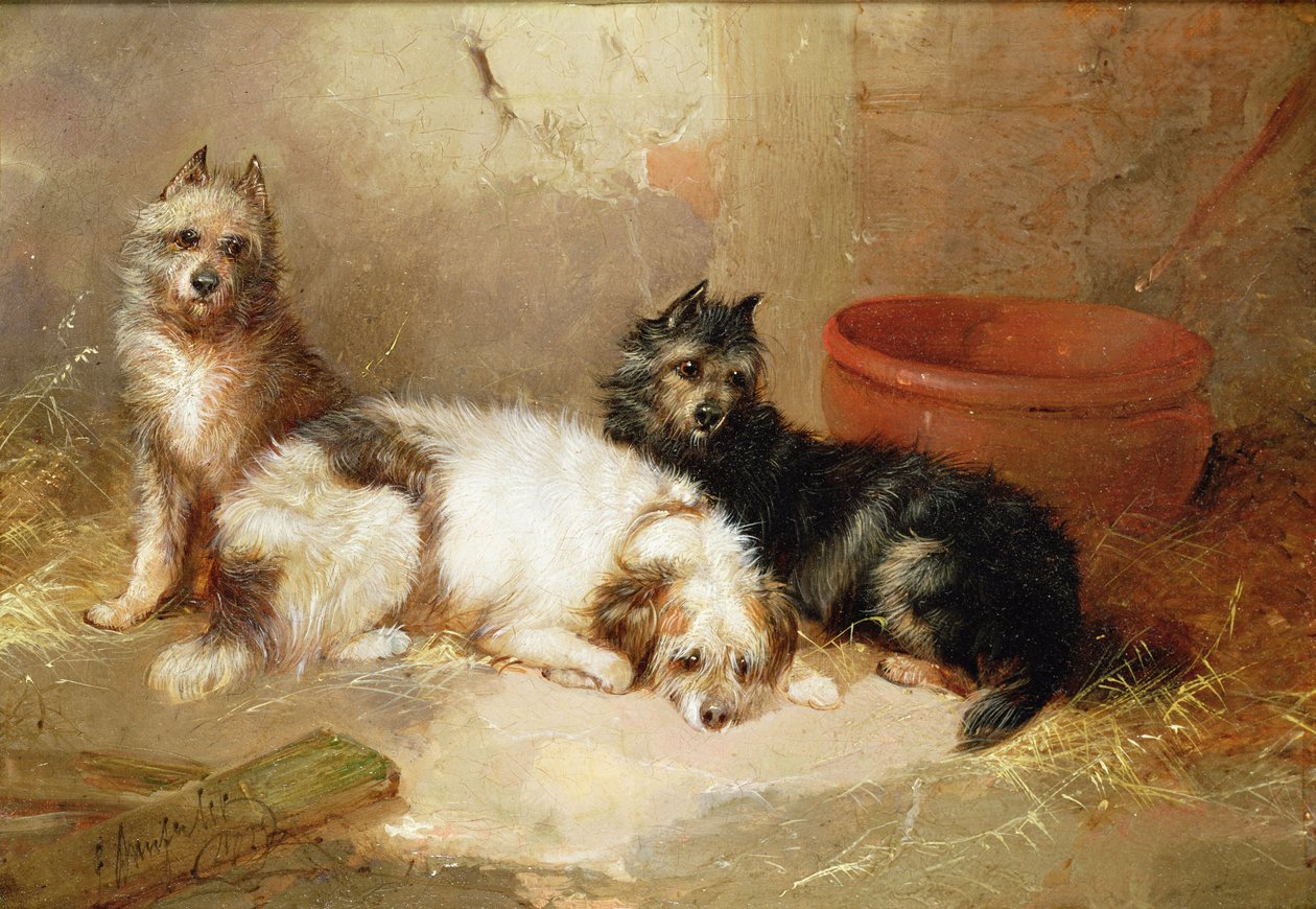 Tre terrier av George Armfield