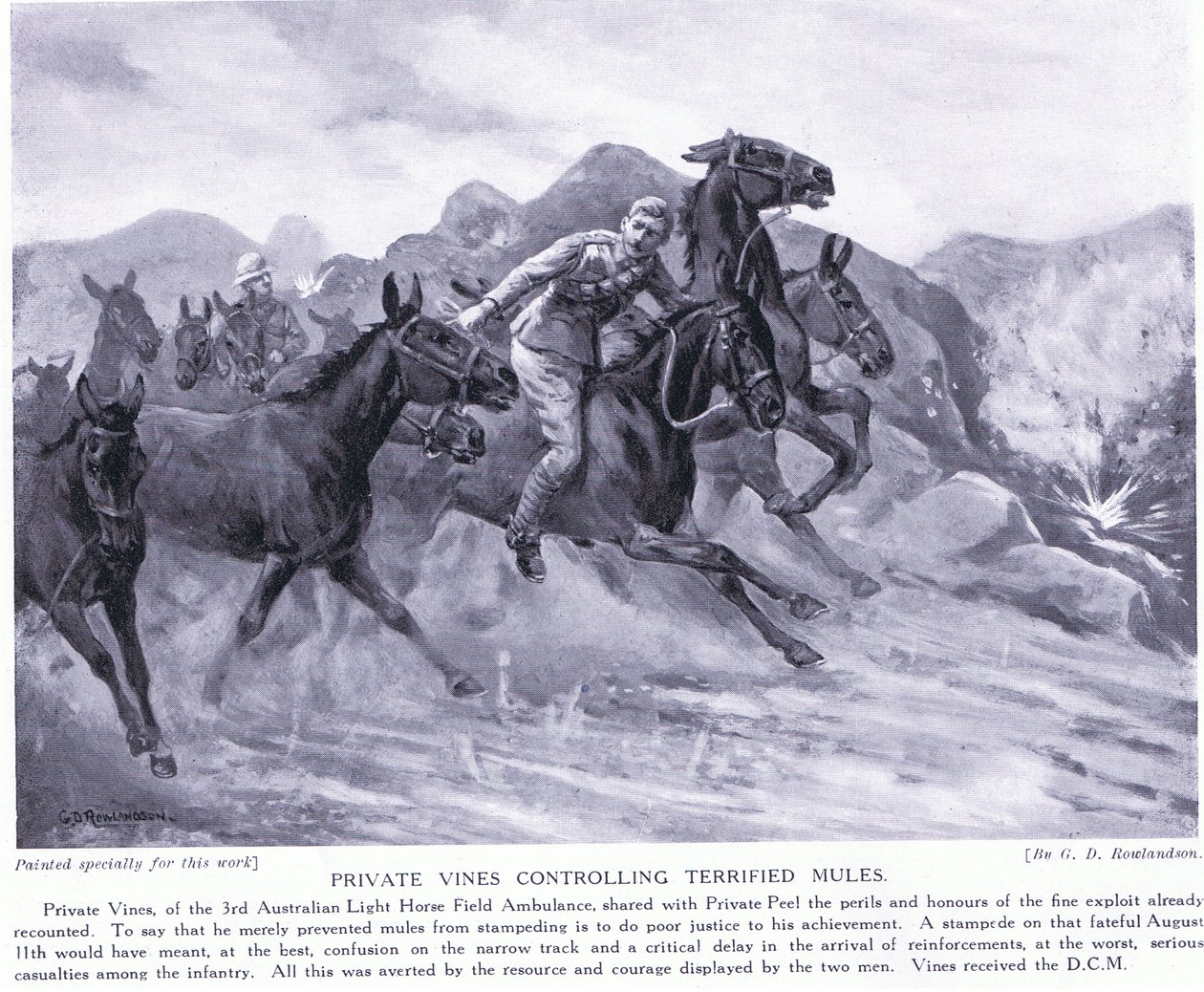 Private Vines tilldelade DCM för att ha kontrollerat skräckslagna mulor i augusti 1915 av George Derville Rowlandson