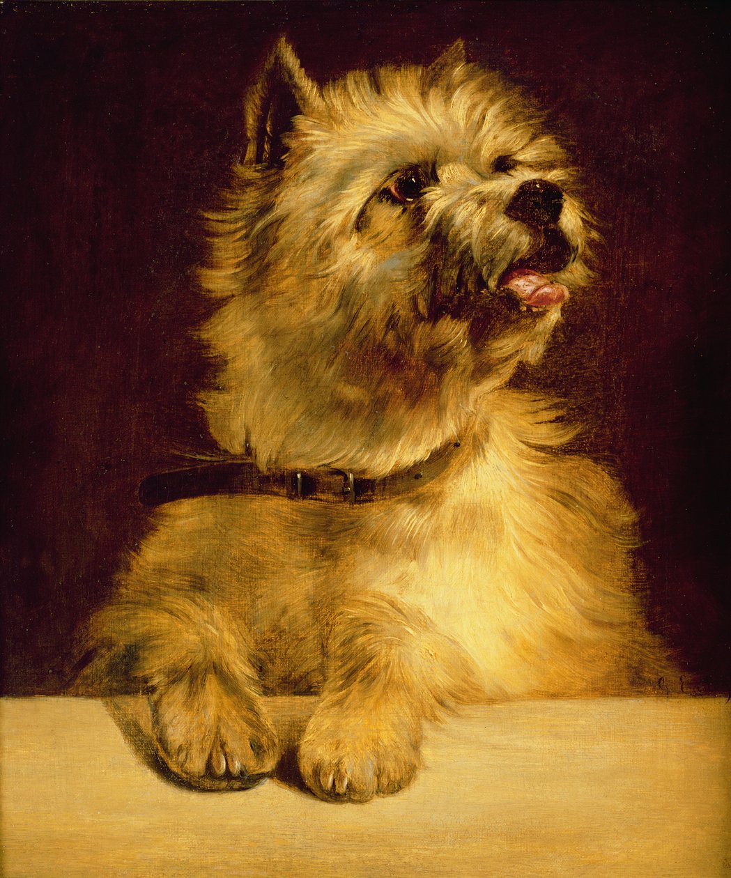 Cairn Terrier av George Earl