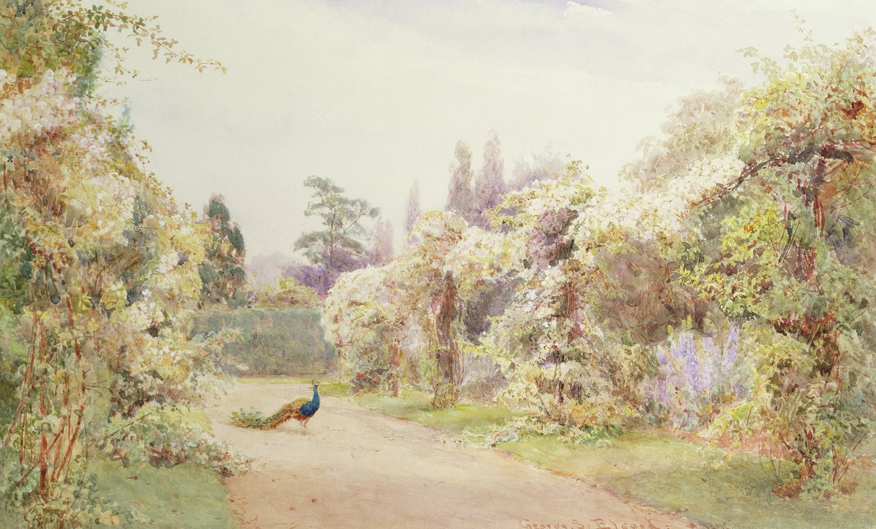 Sommarträdgård med en påfågel av George Samuel Elgood