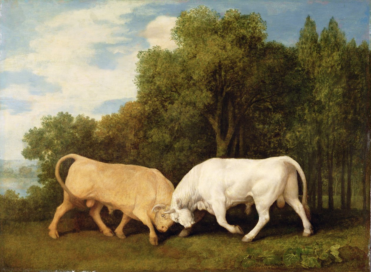 Tjurfäktning, 1786 av George Stubbs