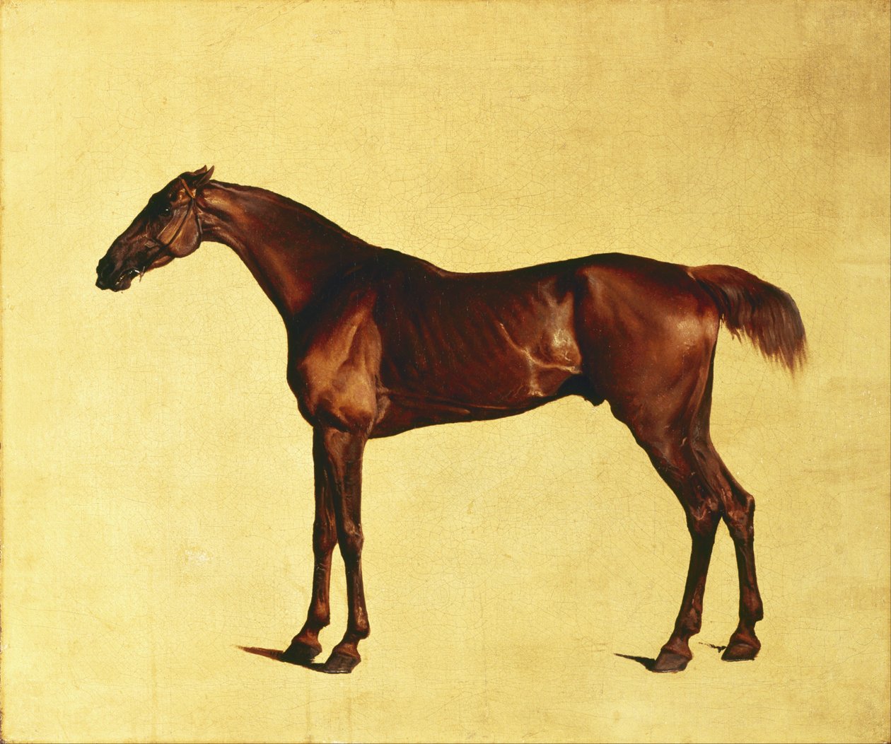 Pangloss av George Stubbs