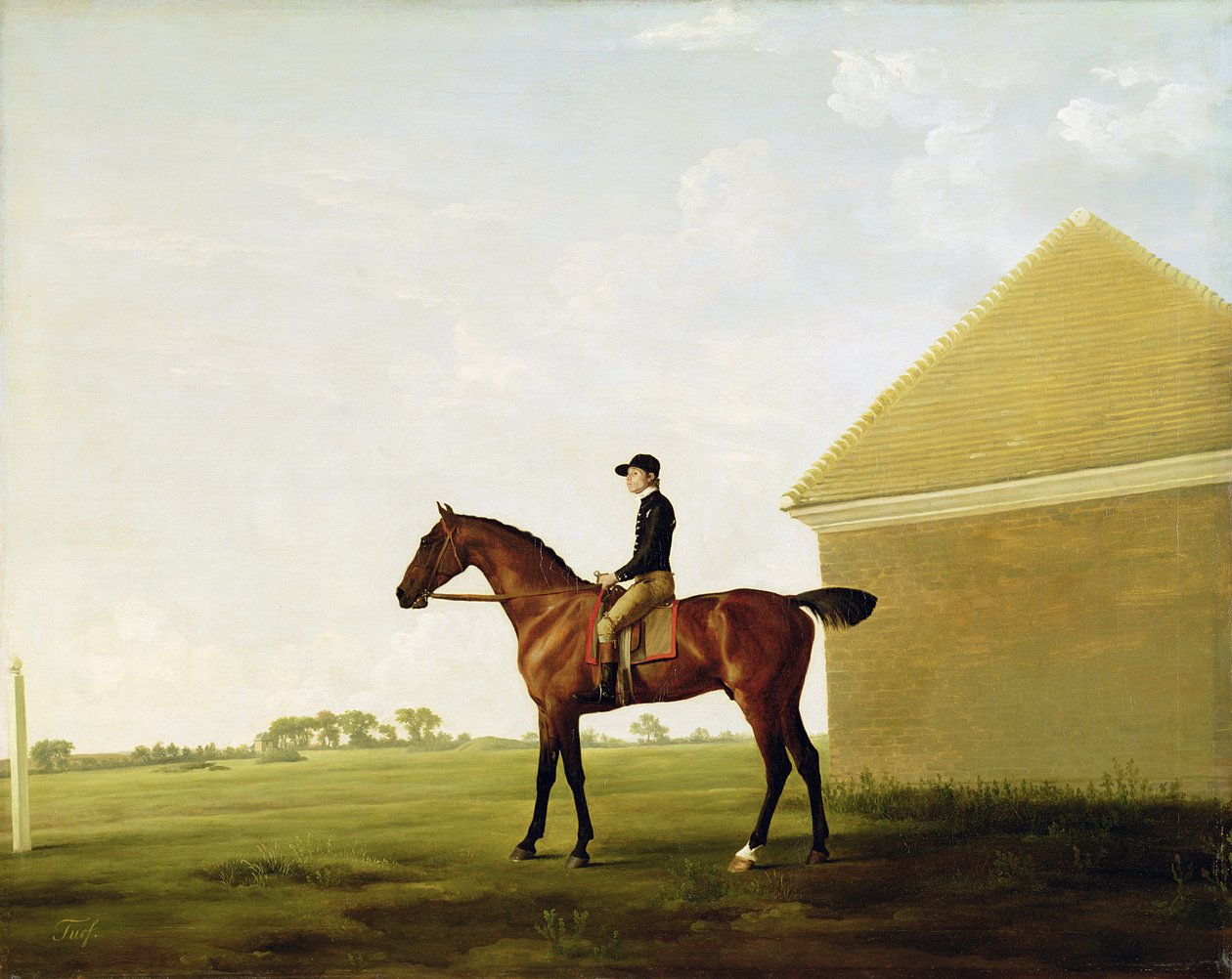 Turf, ca 1765 (se 152743) av George Stubbs