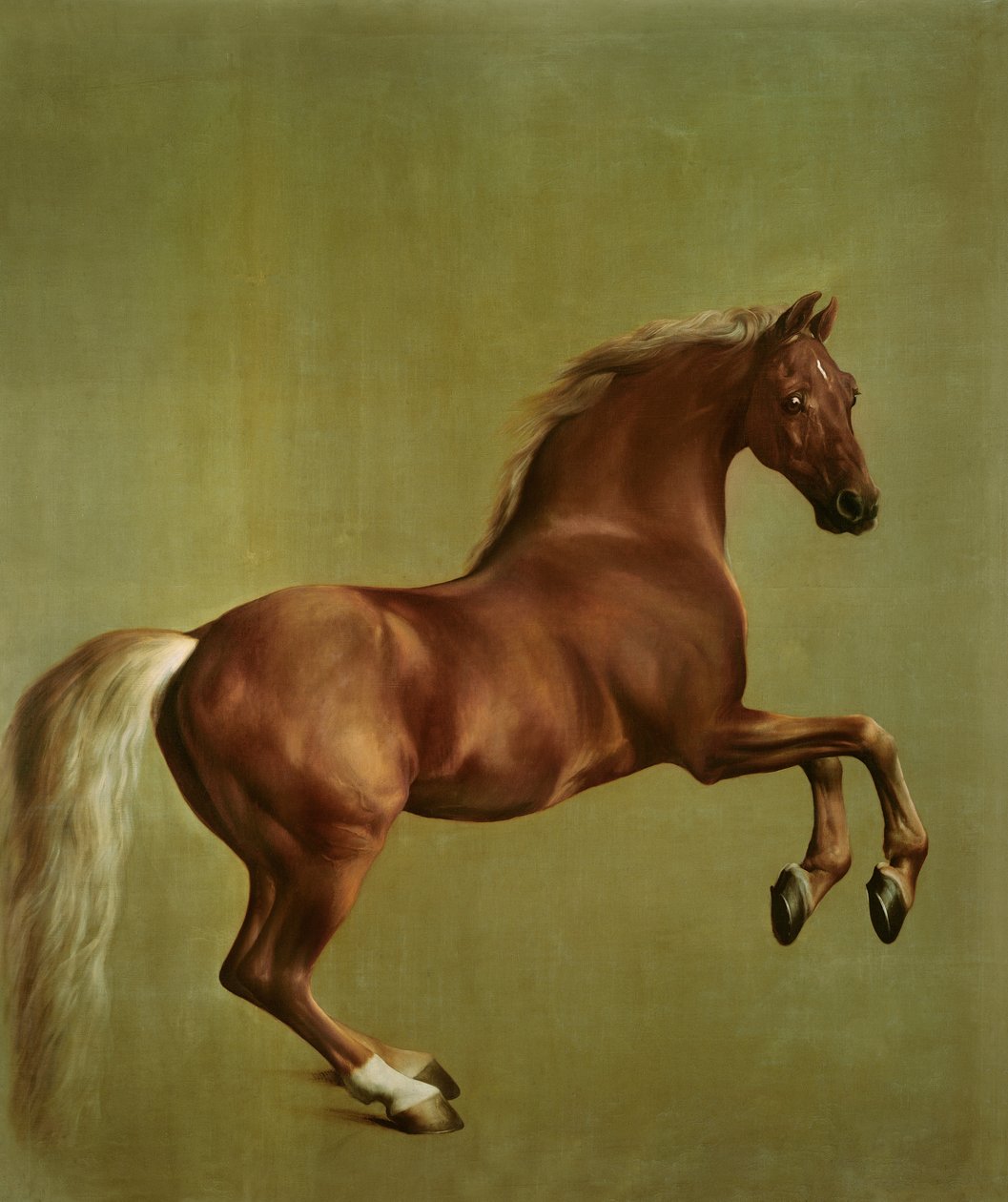 Whistlejacket, 1762 av George Stubbs