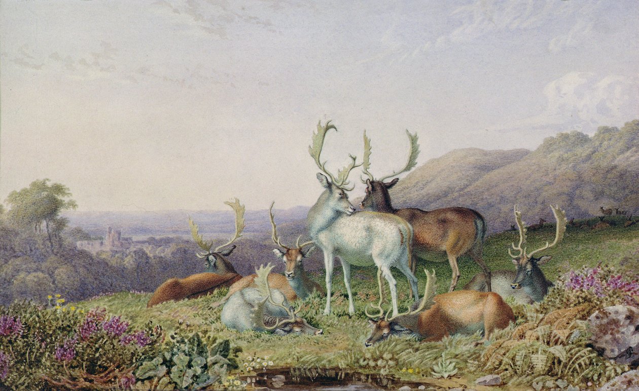 Rådjur i ett landskap av George the Younger Barret