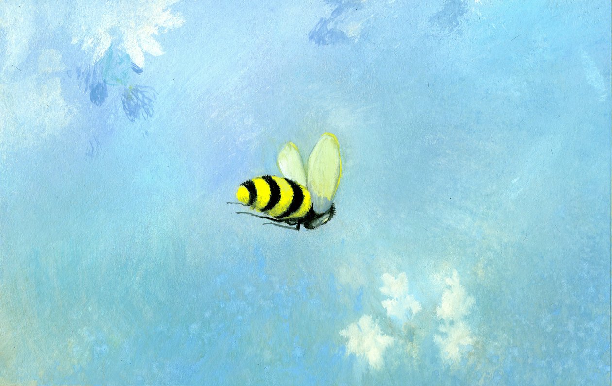 The Bee, 1970-talet av George Adamson