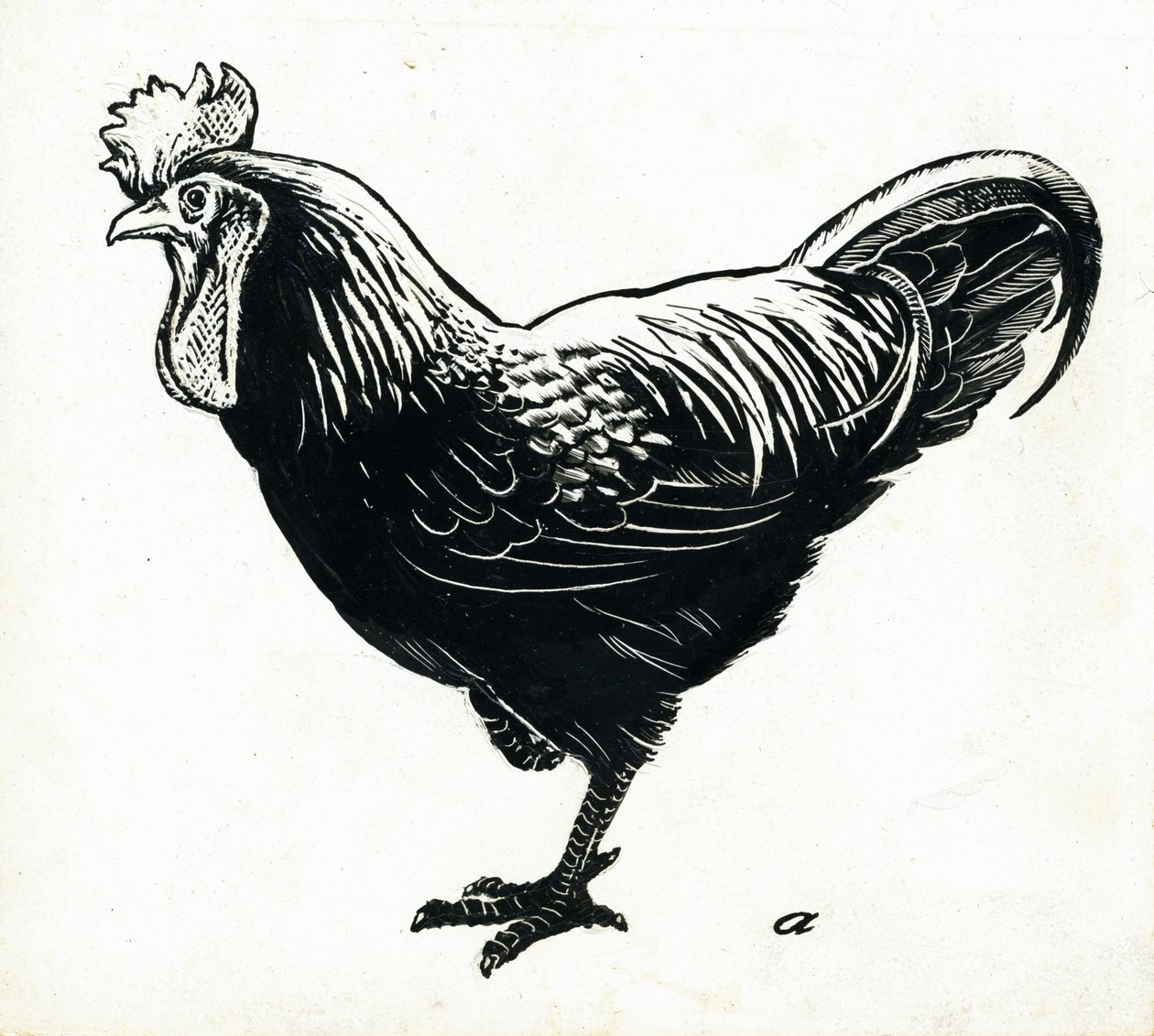The Hen, 1950-tal (skrapbräda) av George Adamson