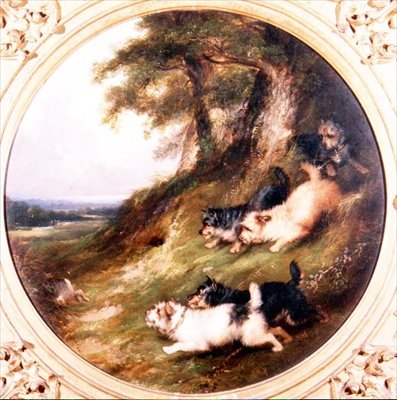 Terrier kanin av George Armfield