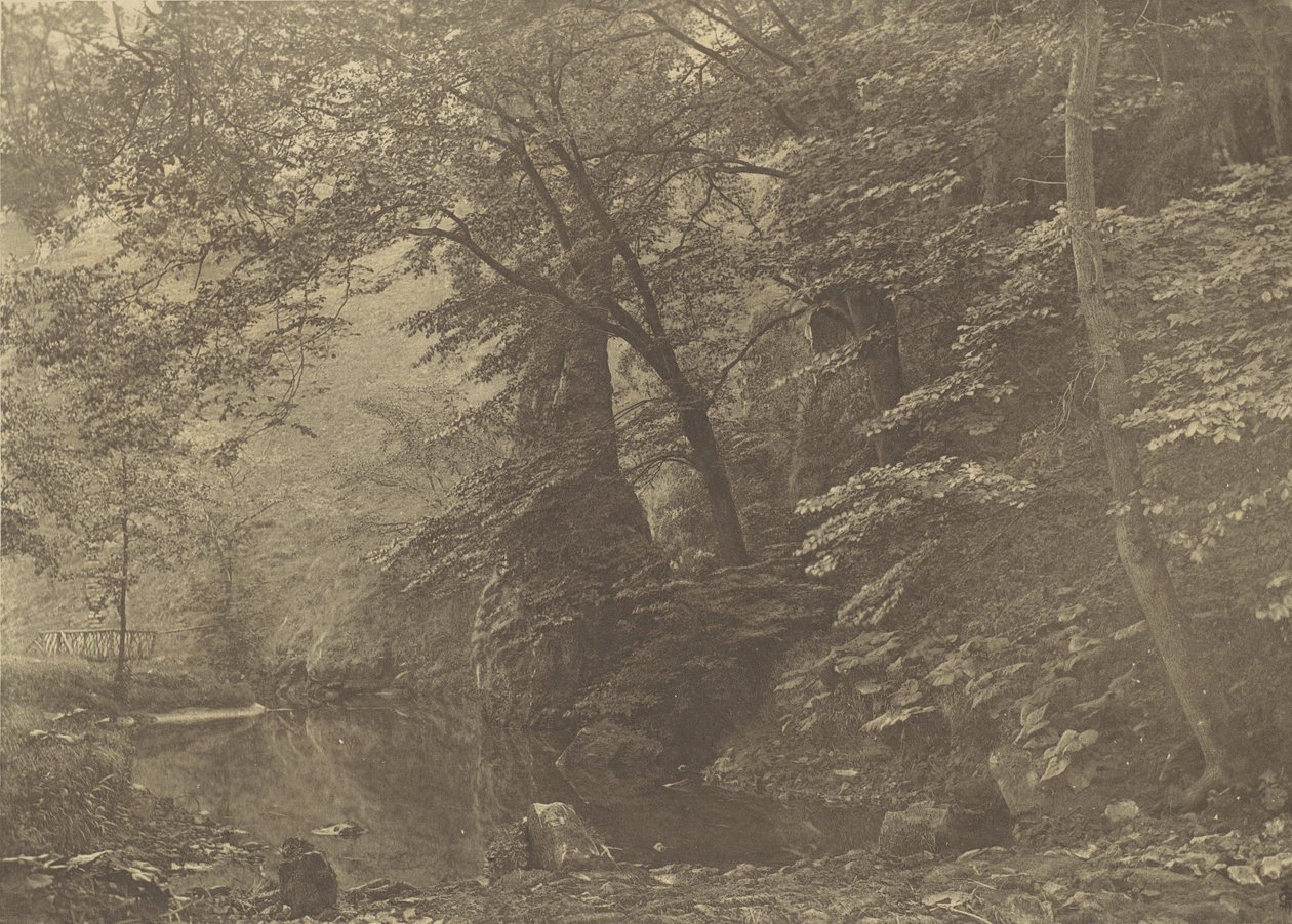 Gäddpool, 1880-tal, tryckt 1888. av George Bankart