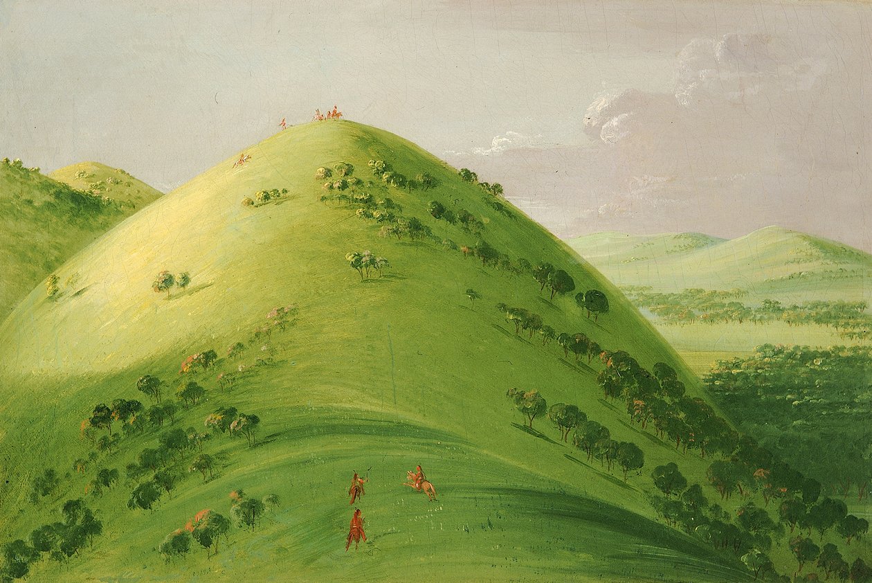 Vackra präriebloss, övre Mississippi av George Catlin