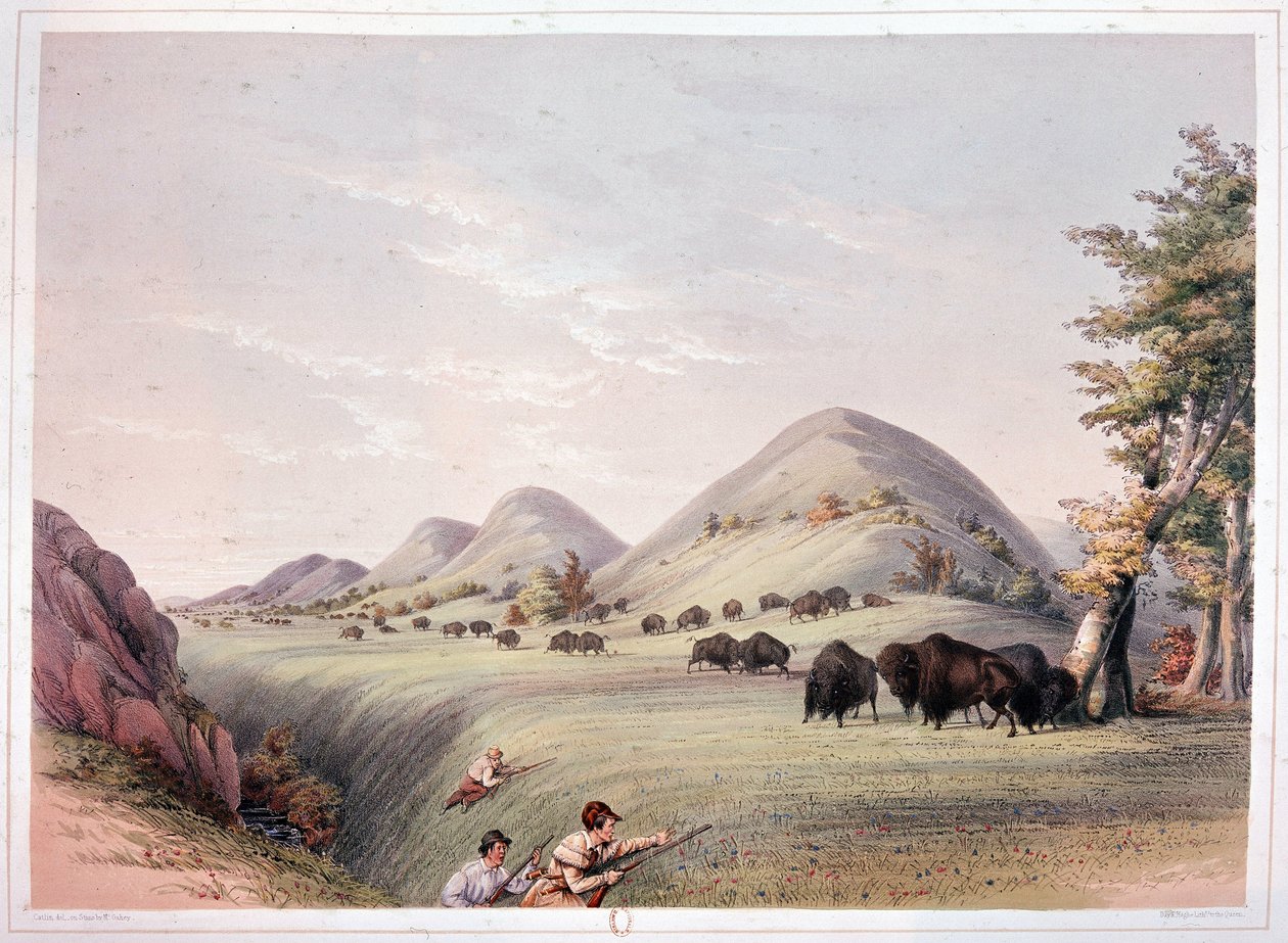 Bisonjakt av George Catlin
