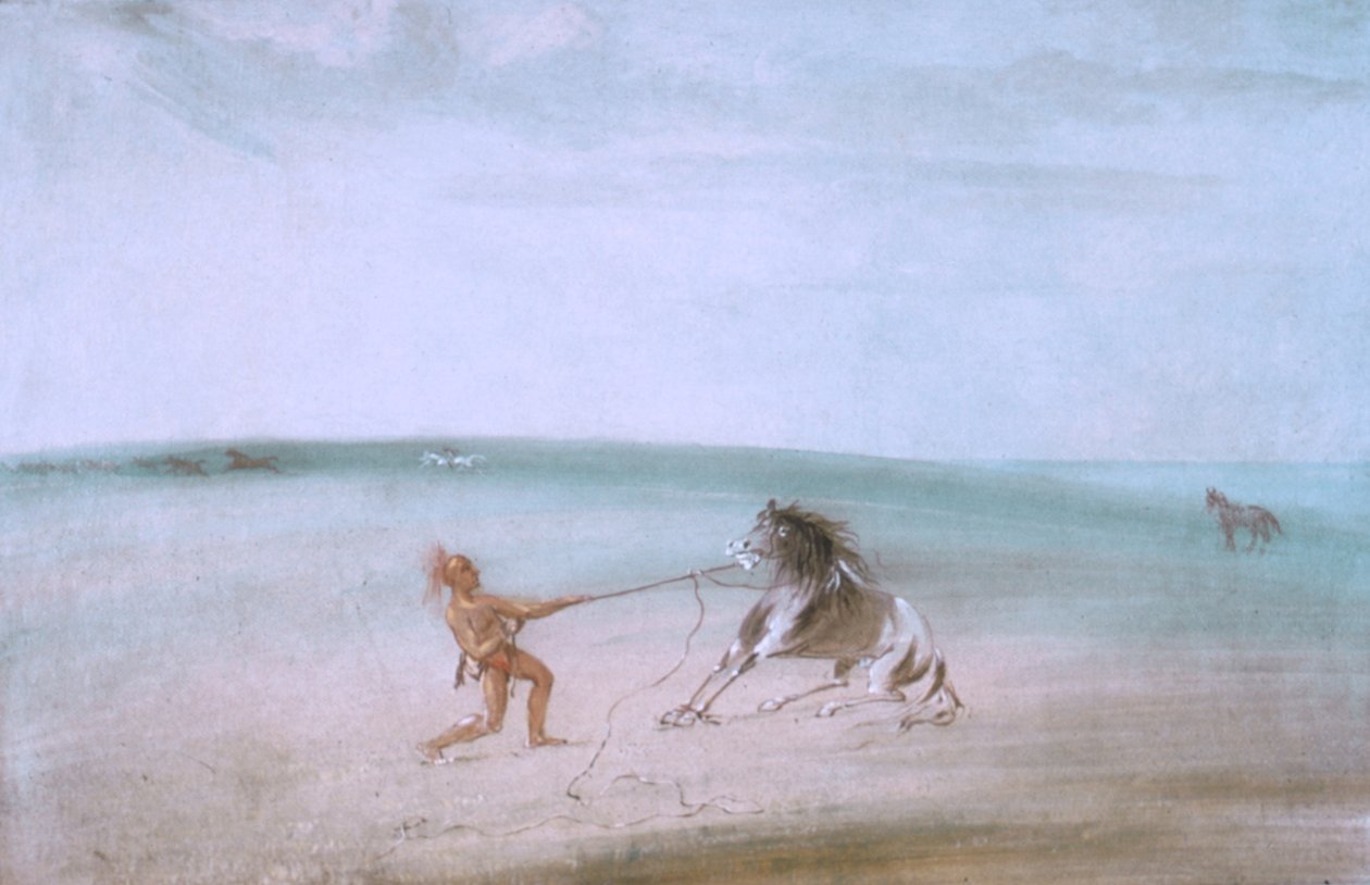Att bryta ner den vilda hästen av George Catlin