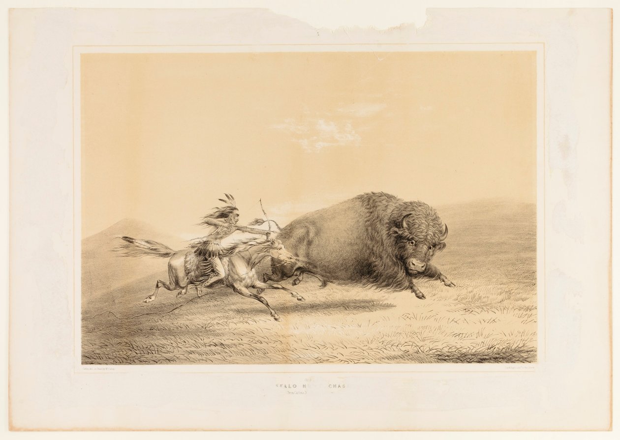 Buffeljakt, Chase... nr. 5 av George Catlin