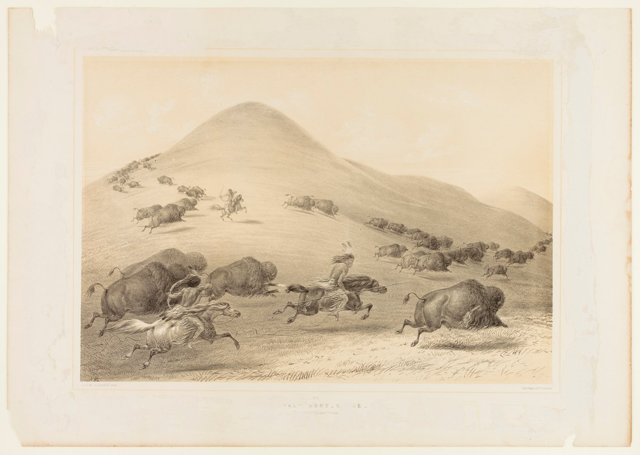 Buffalo Hunt, Chase - nr 6 av George Catlin