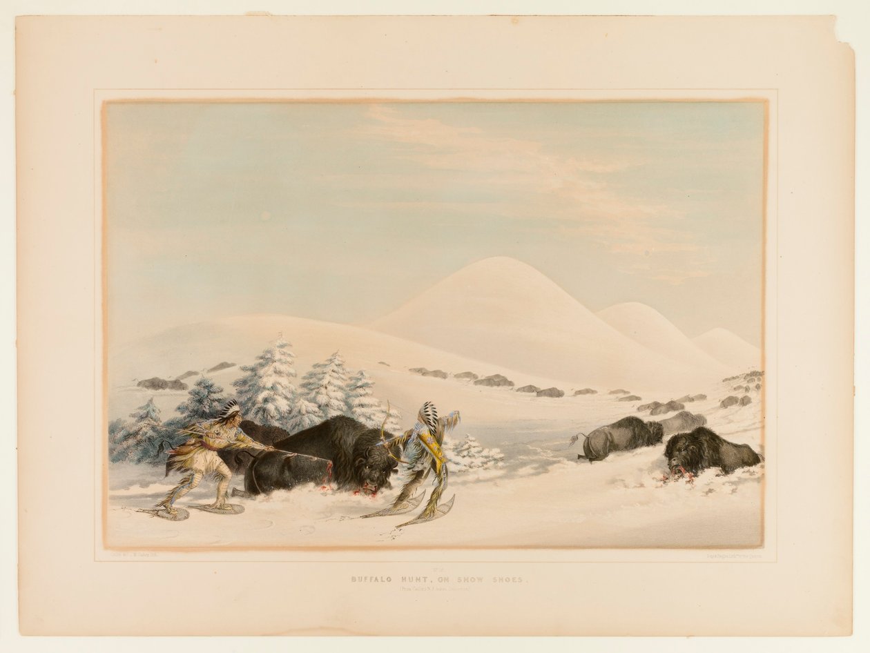 Buffeljakt på snöskor - nr 15 av George Catlin