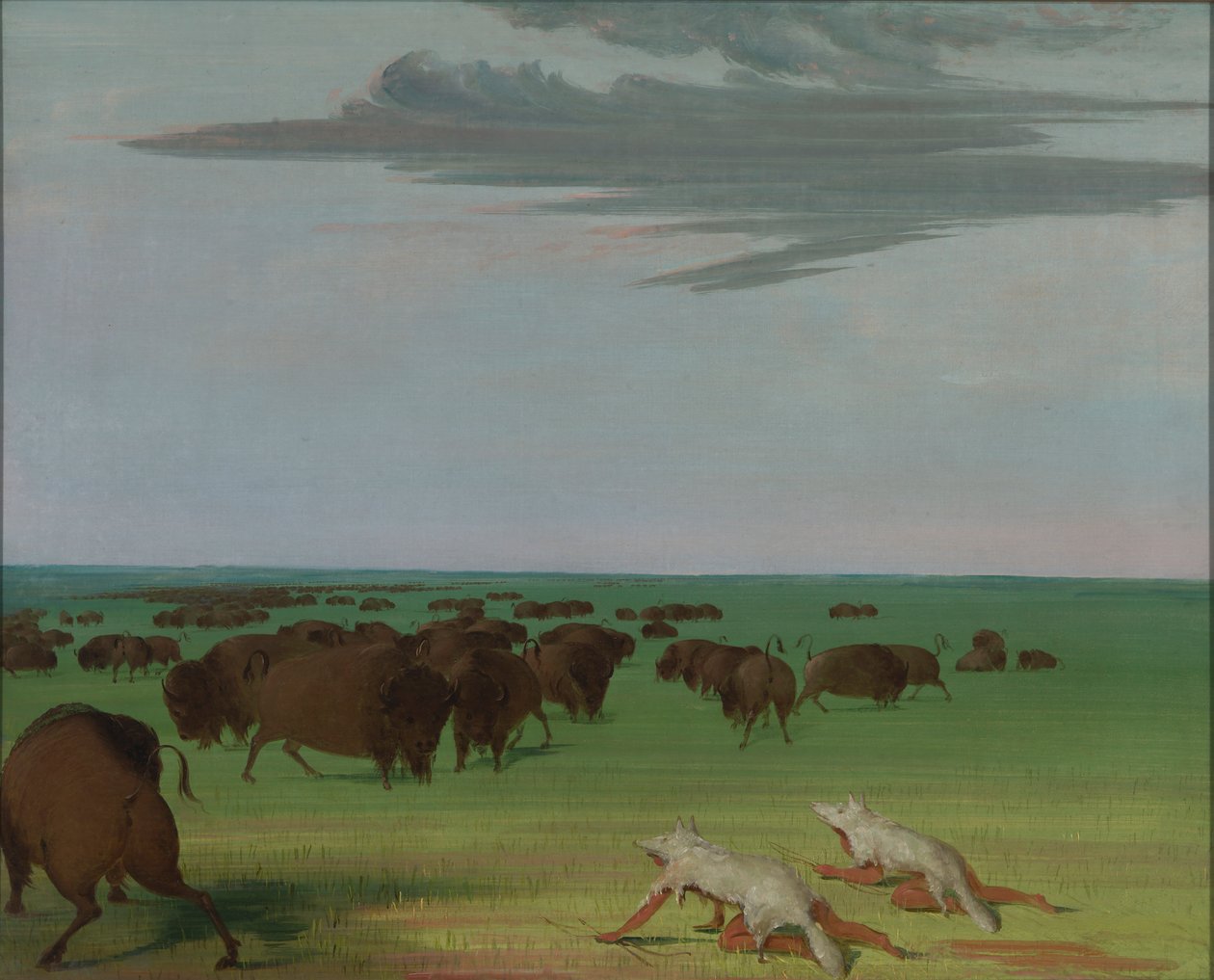 Buffeljakt under vargskinnsmask av George Catlin