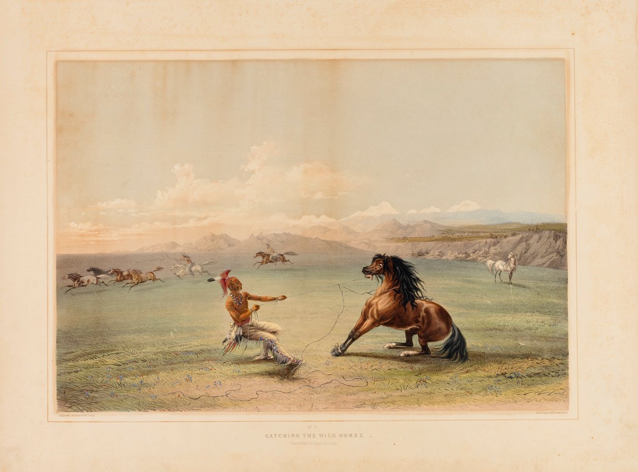 Att fånga den vilda hästen - nr. 4 av George Catlin