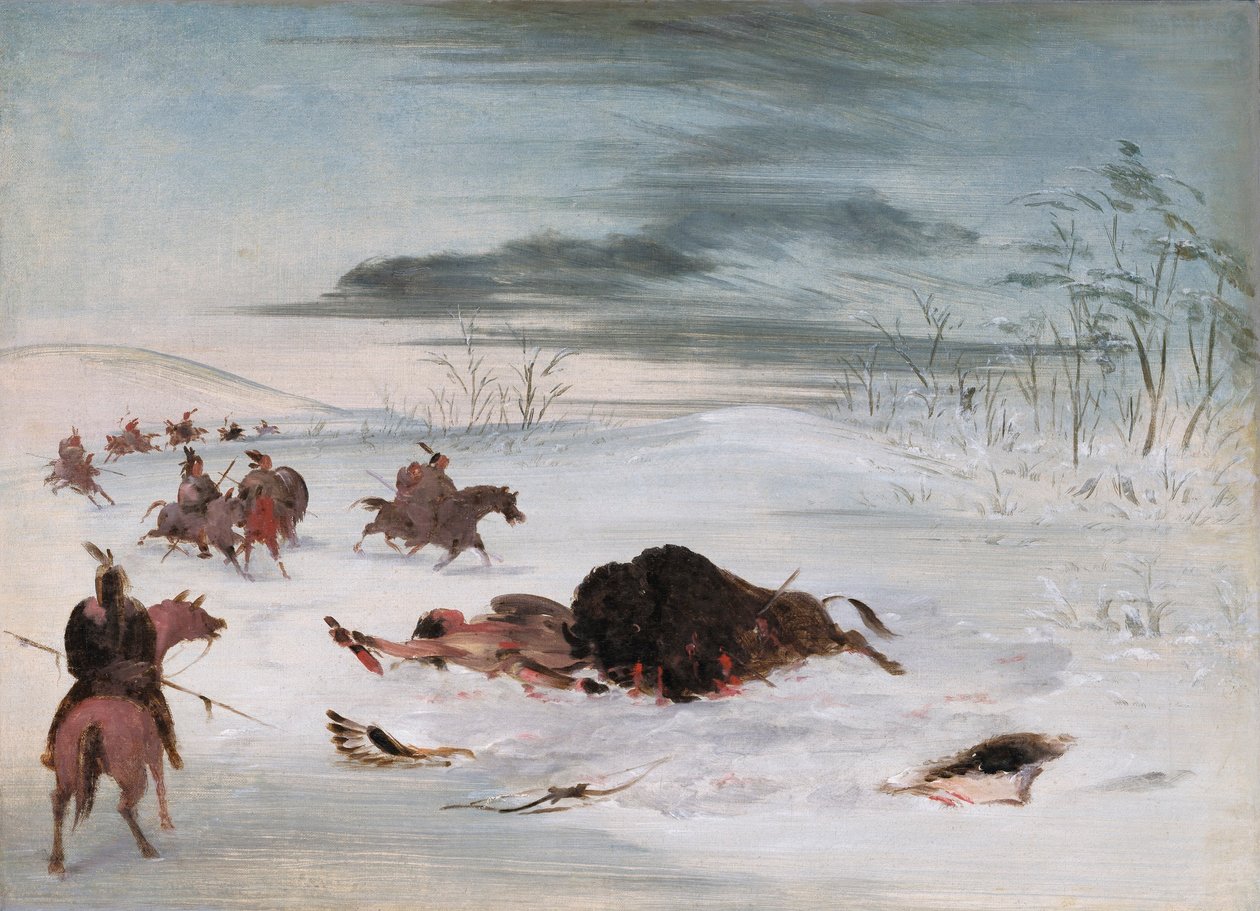 Döende buffeltjur i en snödriva av George Catlin