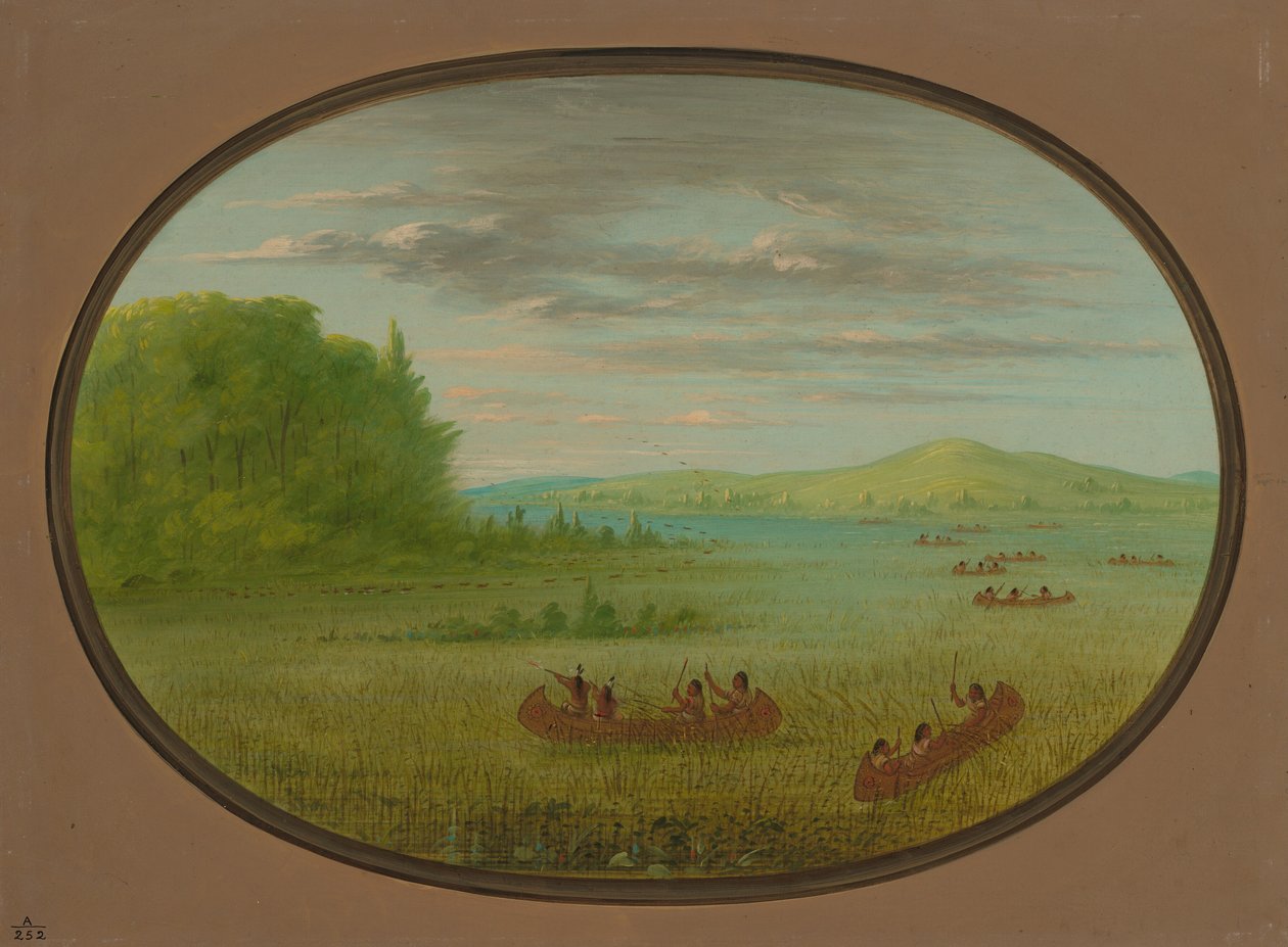 Samla vildris - Winnebago, 18611869. av George Catlin