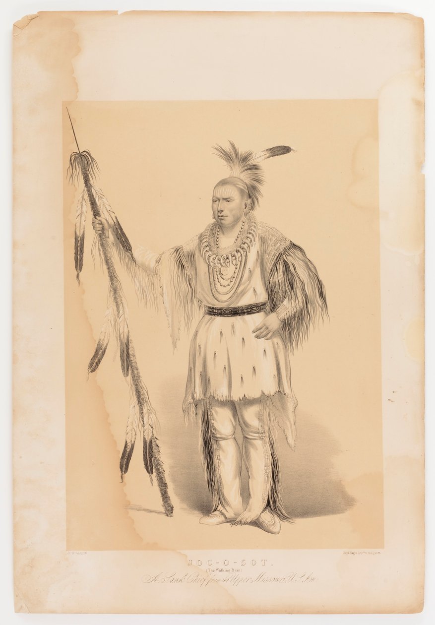 Joc-o-sot, den vandrande björnen av George Catlin