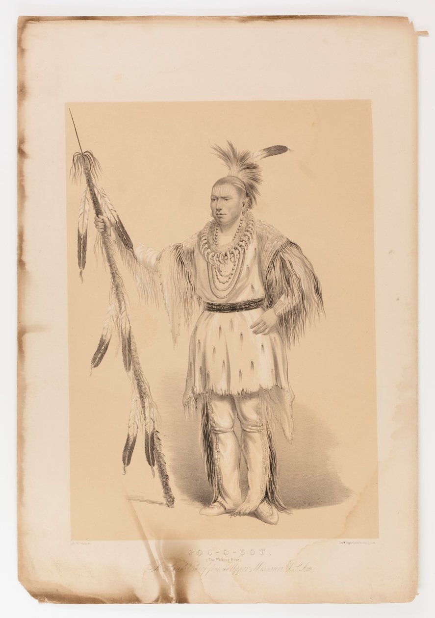 Joc-o-sot, den vandrande björnen av George Catlin