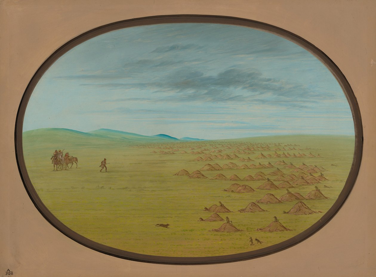 Prairie Dog Village, 18611869. av George Catlin