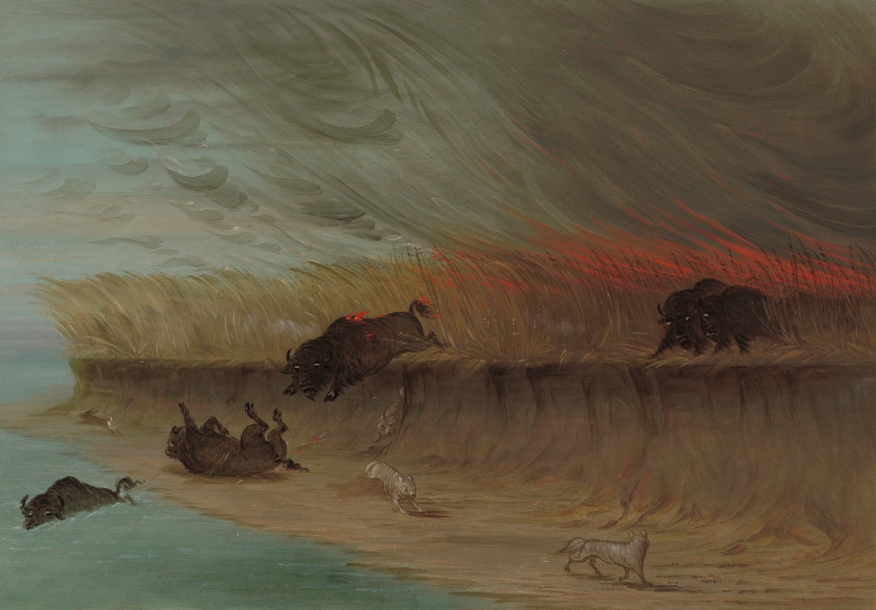 Prairie Meadows Burning, 18611869. av George Catlin