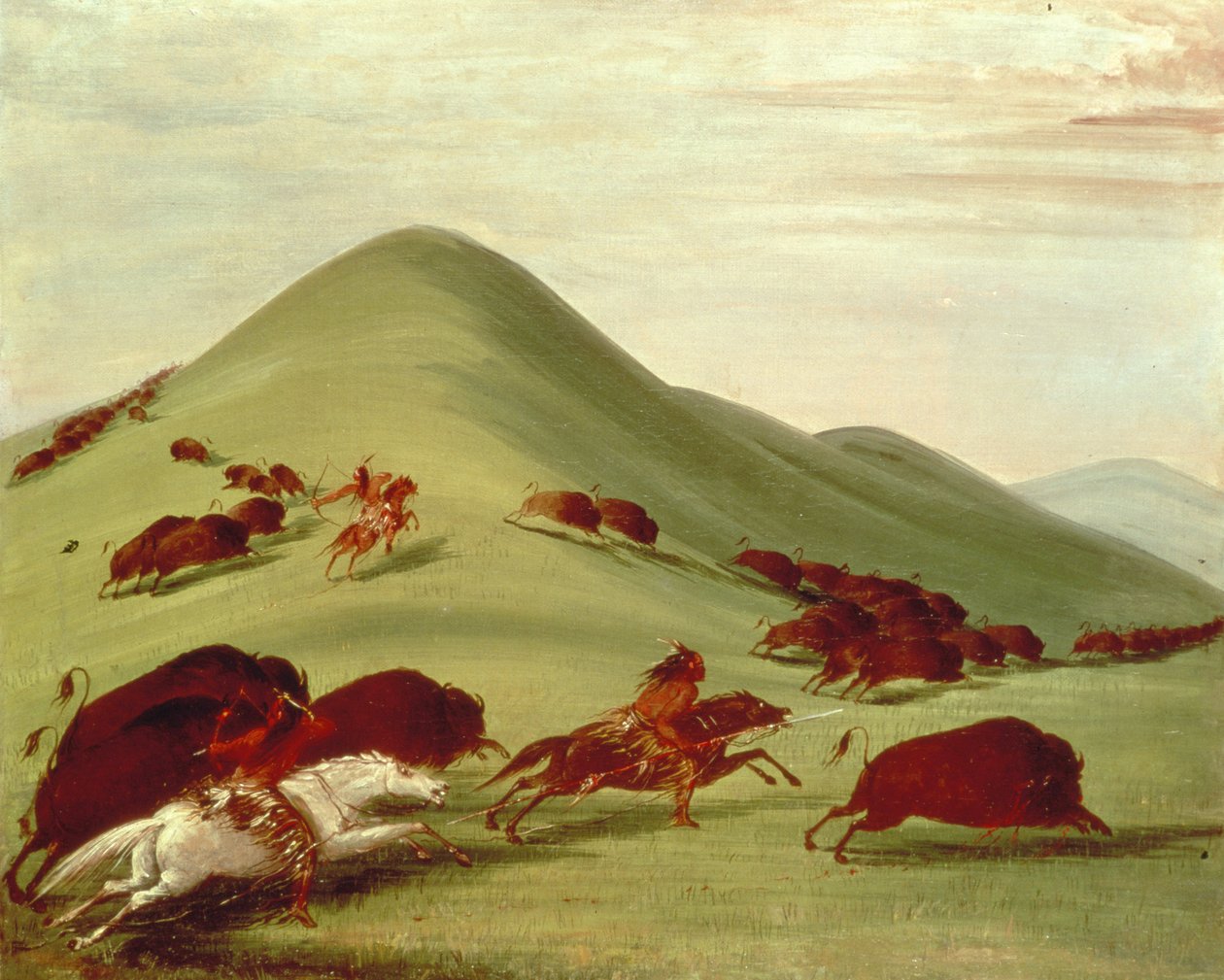Buffeljakten av George Catlin
