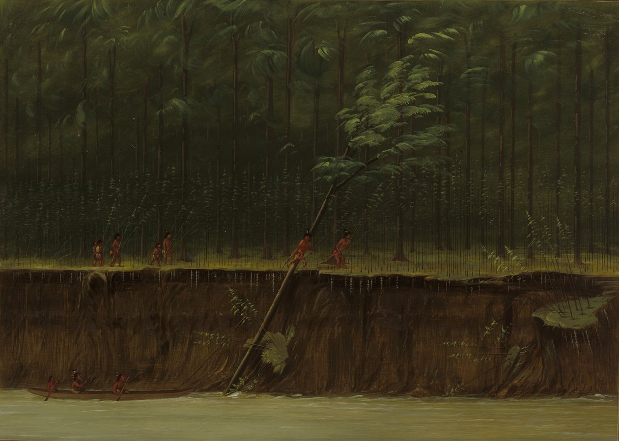 Utsikt över Nedre Mississippi, 18611869. av George Catlin