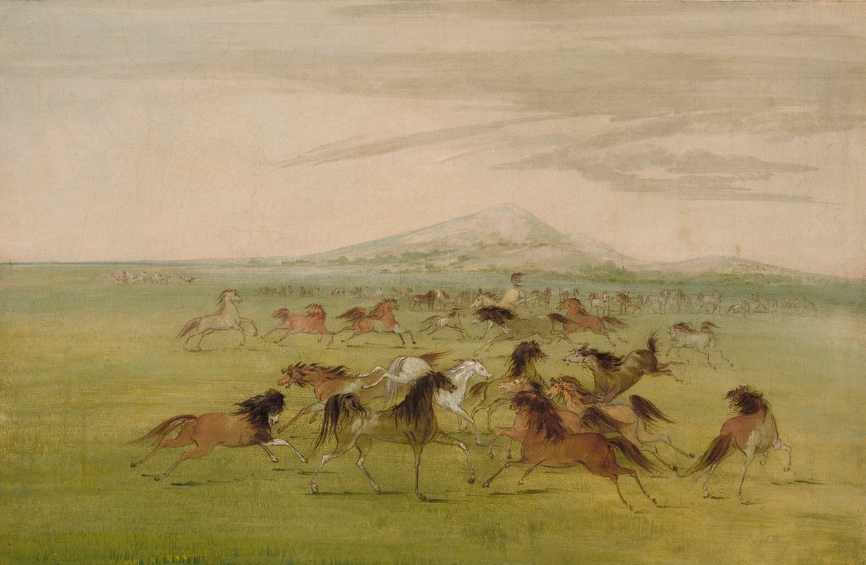 Vilda hästar i lek av George Catlin
