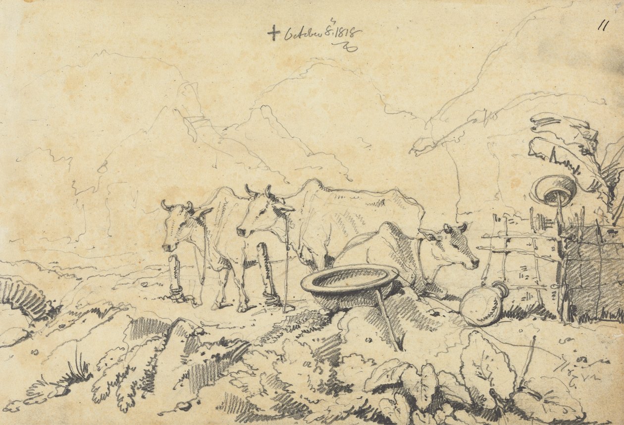 Tre kor bundna av George Chinnery