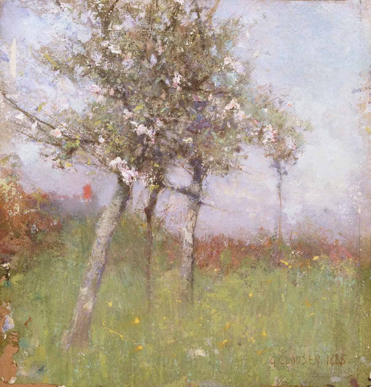 Äppelblom, 1885. av George Clausen
