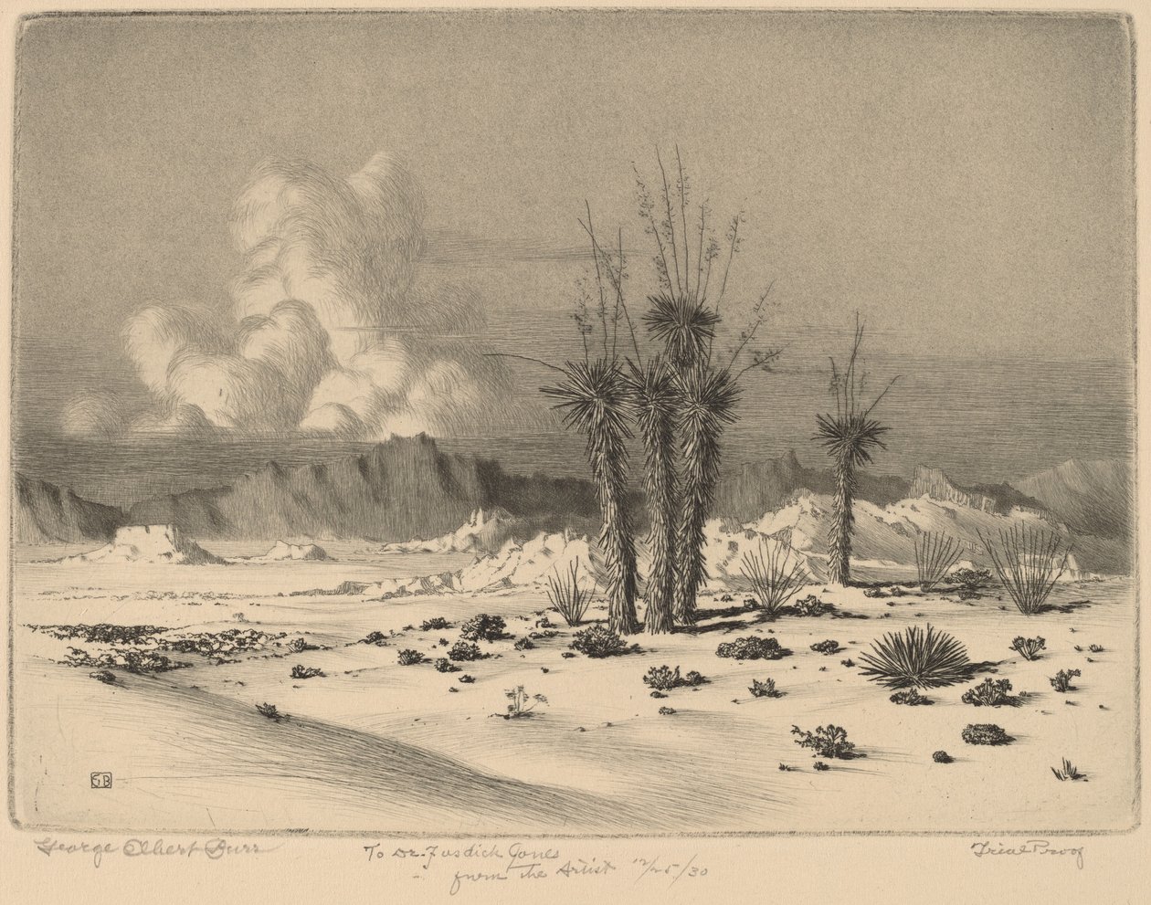 Kväll, Arizona av George Elbert Burr