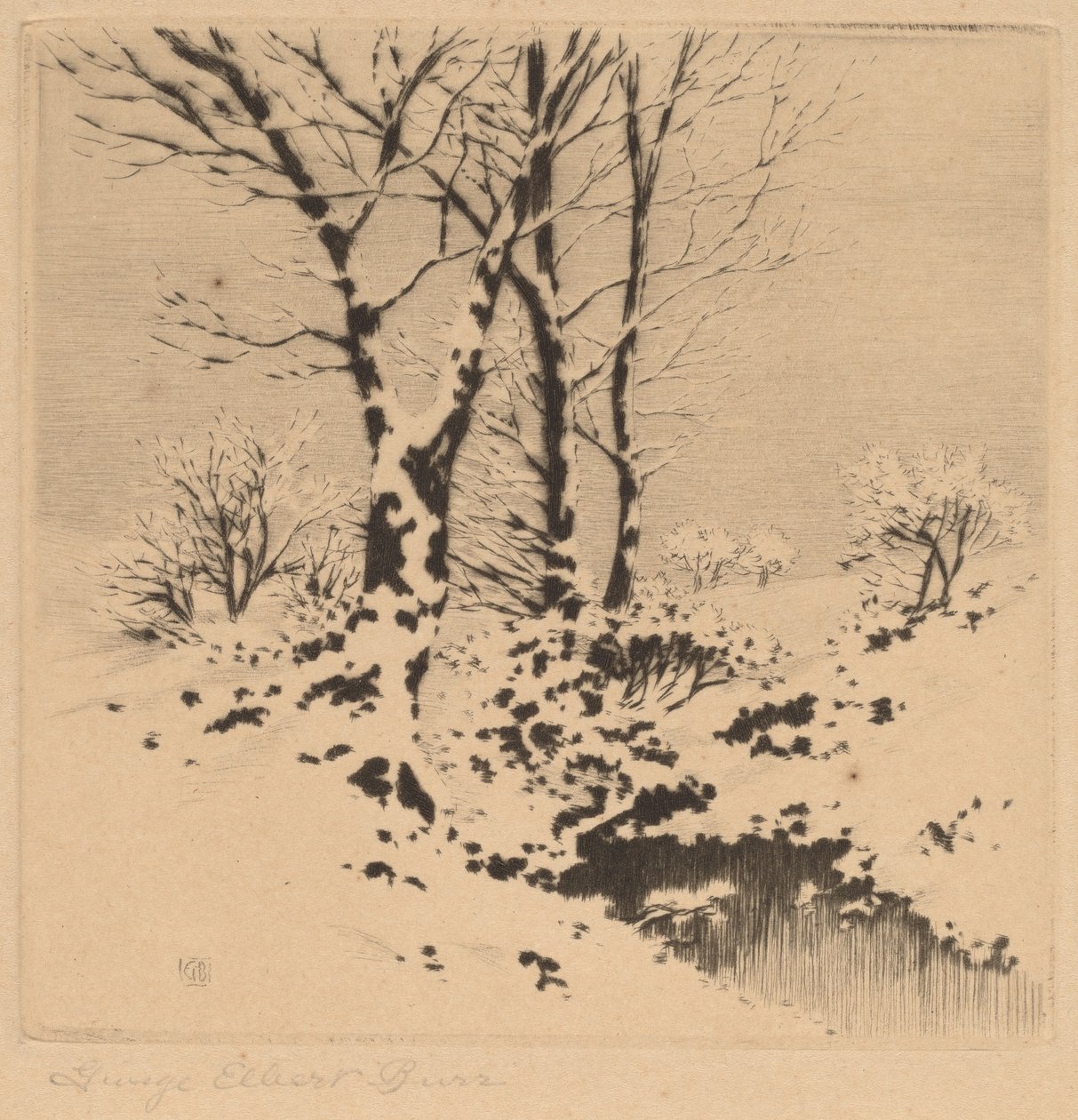 Snö av George Elbert Burr