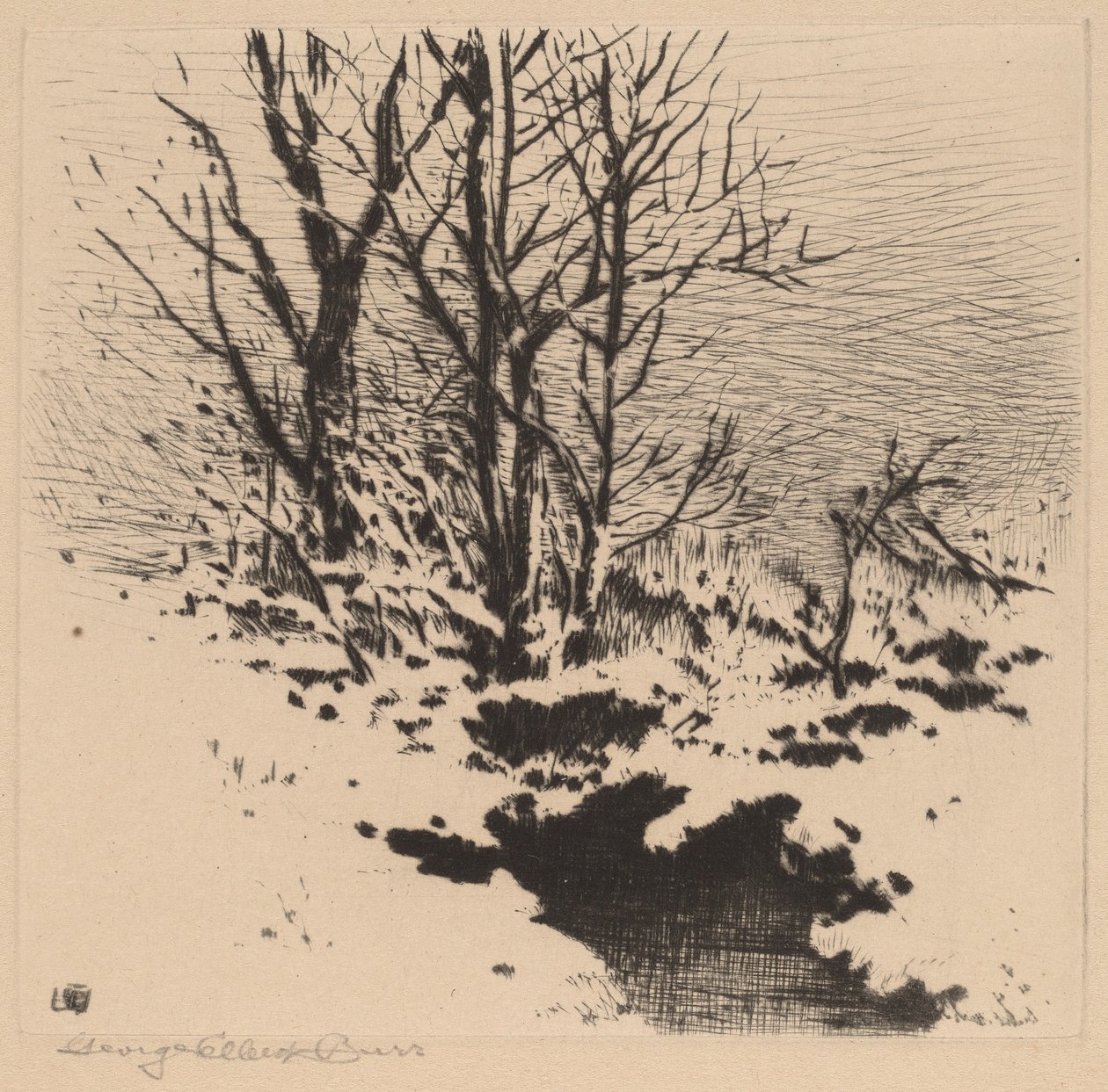 Den första snön (nr 2) av George Elbert Burr