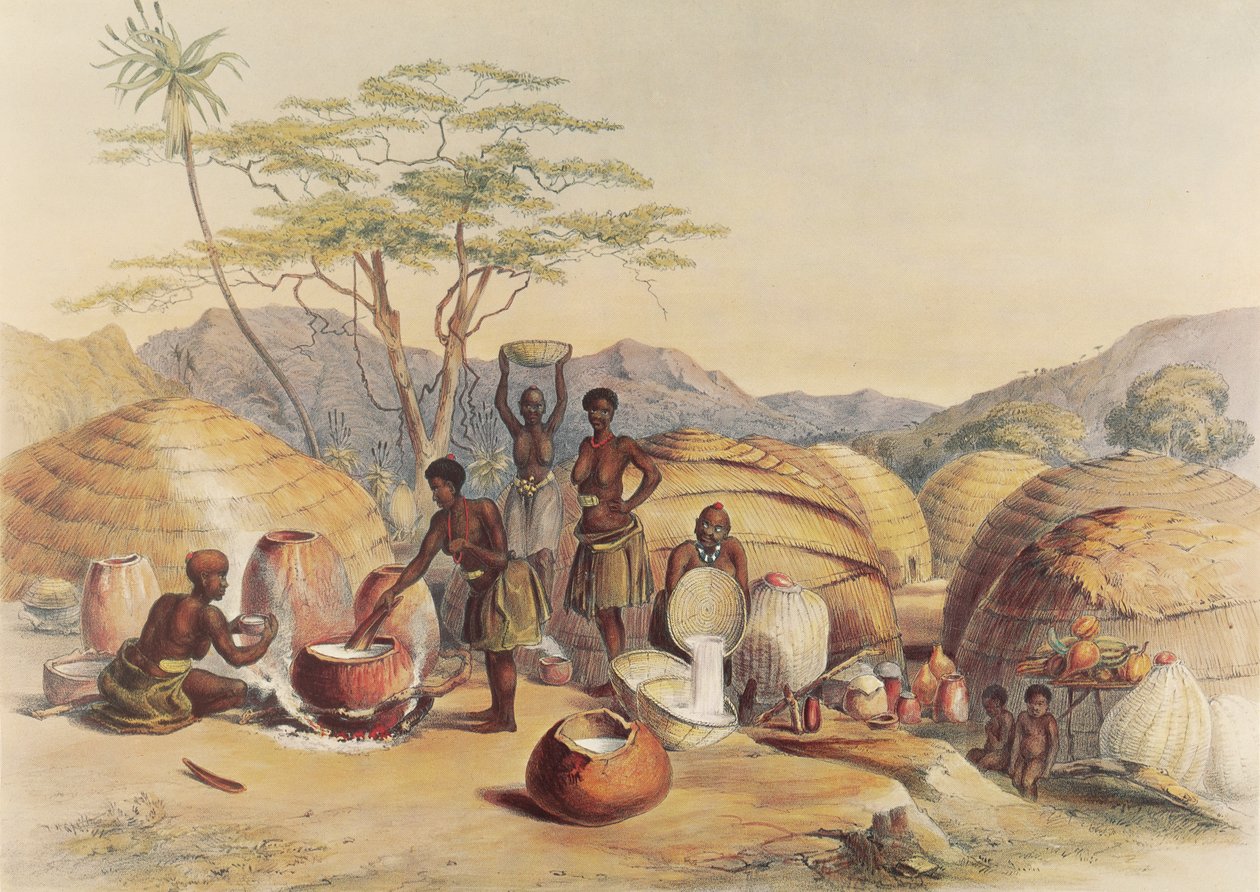 Zulukvinnor brygger "outchualla av George French Angas