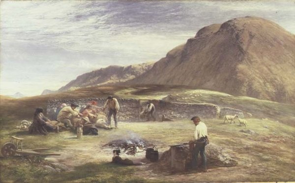 Fårskärm av George Harvey