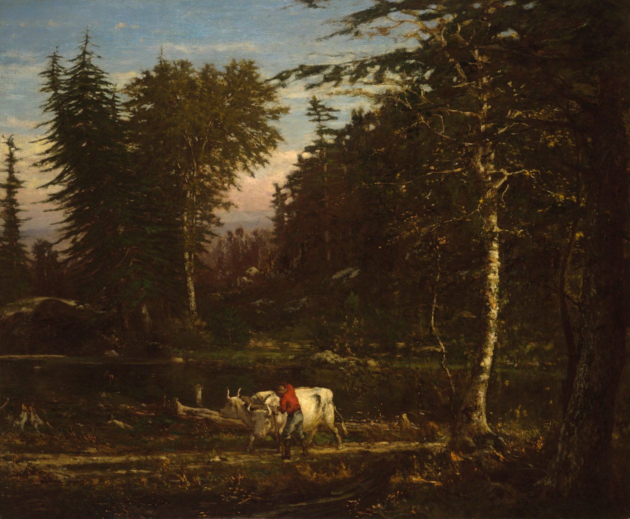 I Adirondacks av George Inness