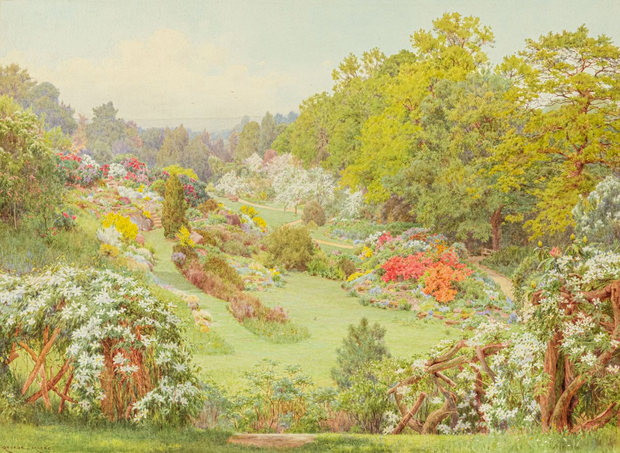 Vårblommor (akvarell) av George Marks