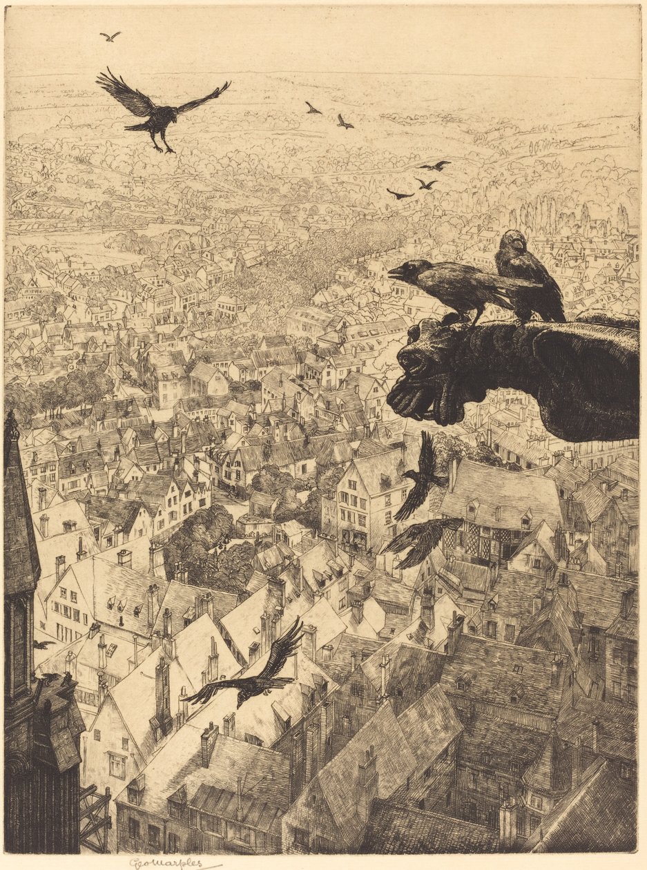 Jackdaws of Chartres av George Marples