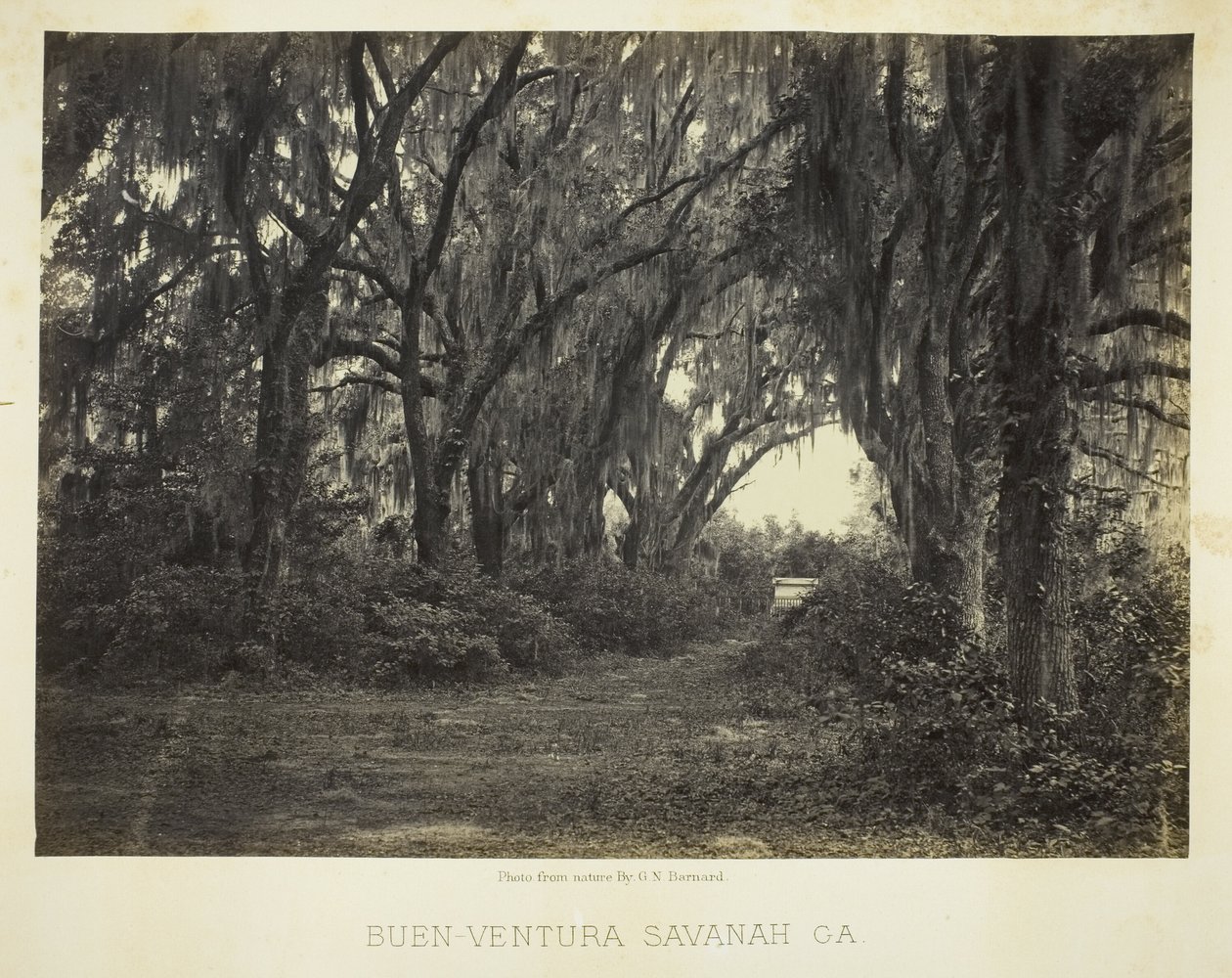 Buen-Ventura Savannah, Ga. av George N. Barnard