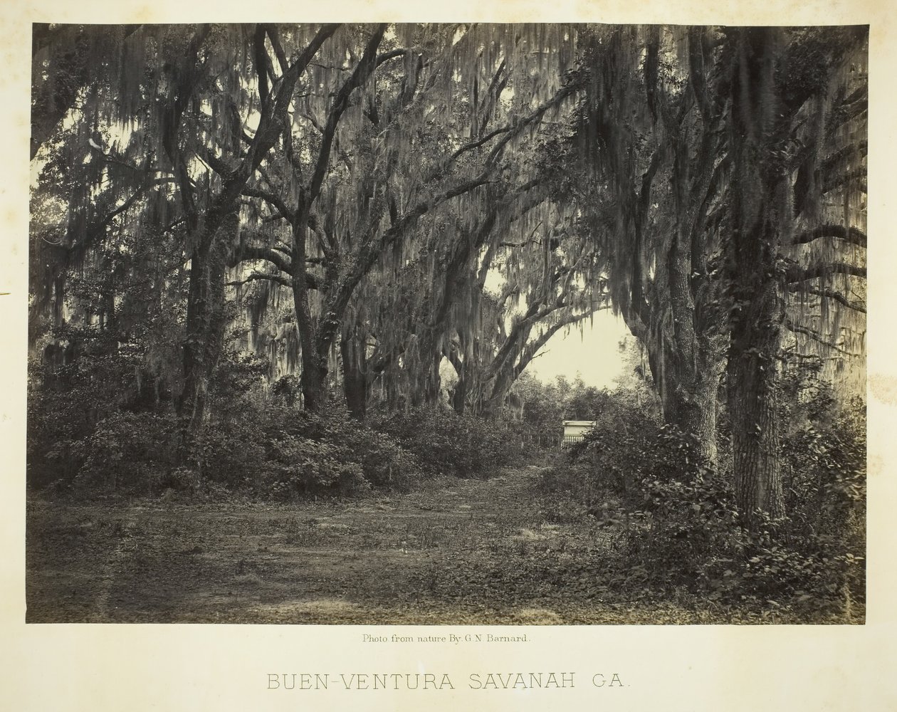 Bon-Ventura Savannah, Ga., 1866. av George N. Barnard
