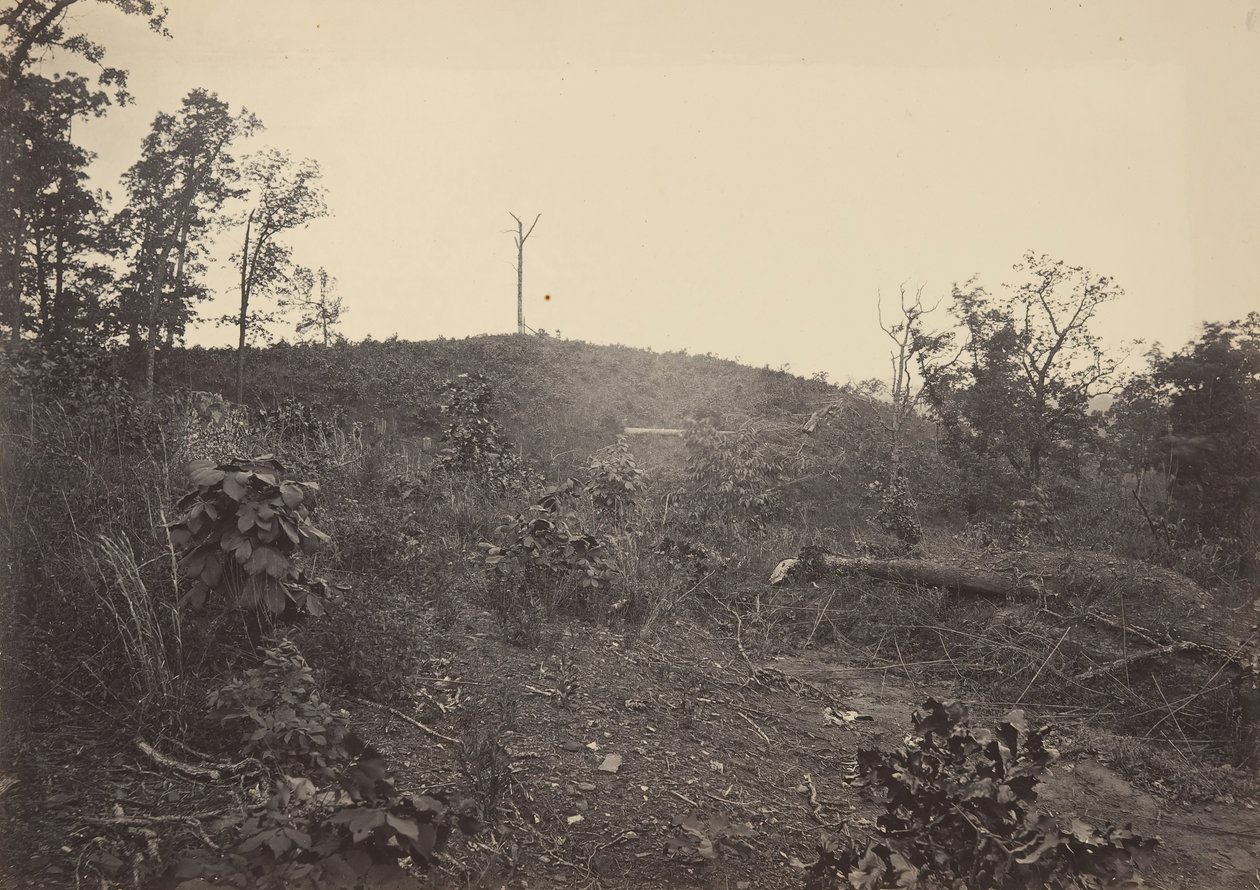 Pine Mountain, 1860-talet. av George N. Barnard