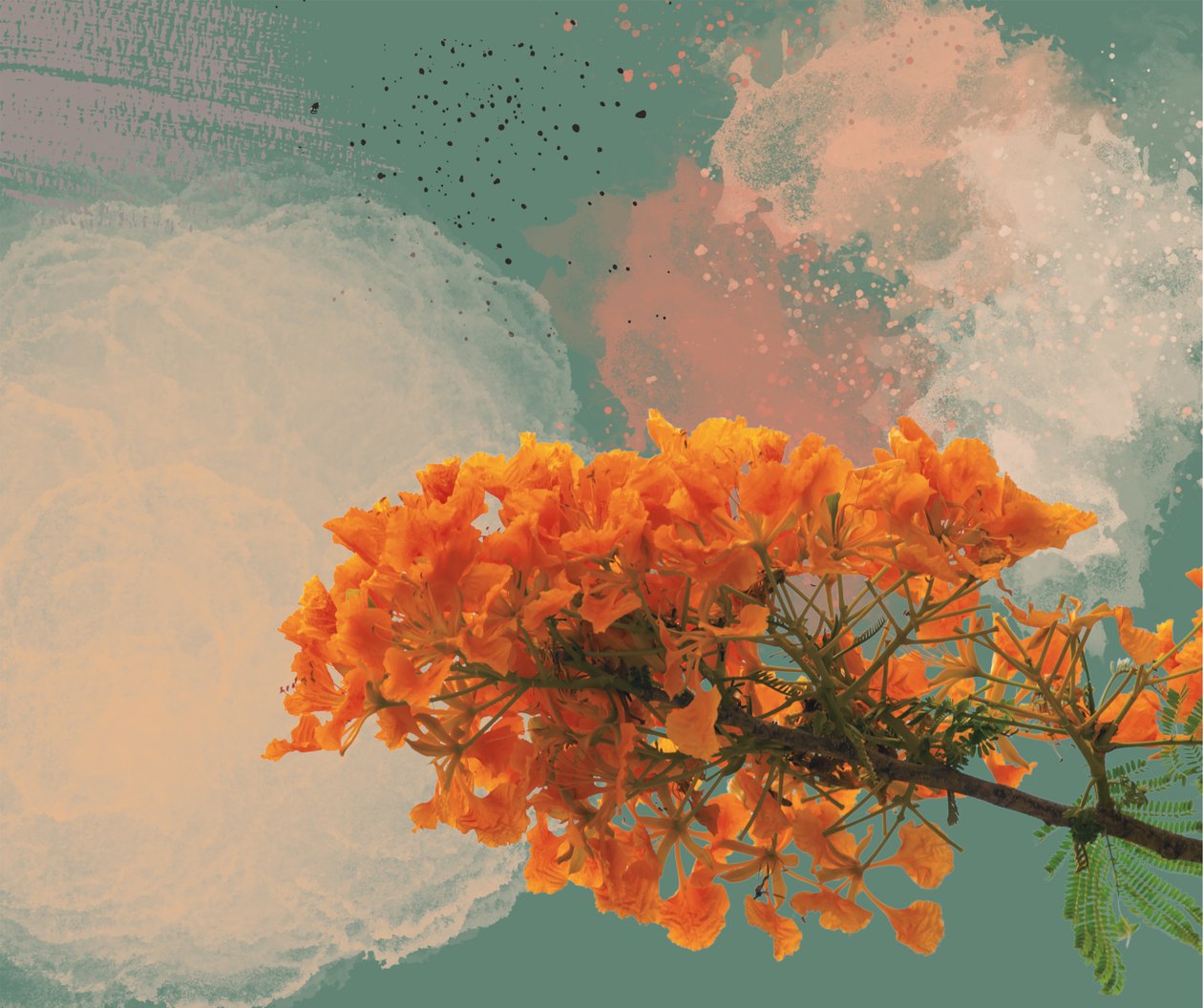 Royal Poinciana "El Flamboyan" (digital) av George Rosaly